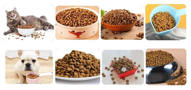 Pet Food Extruder Machine Manufacture